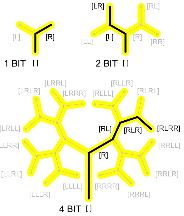 /Users/grahamshawcross/Documents/blog_drafts/animal counting/Ant